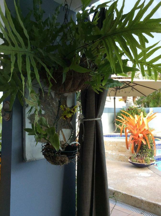 Gorgeous Place Pool And Patio Villa Santa Isabel Ngoại thất bức ảnh